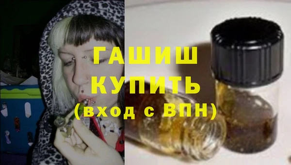 спиды Ельня